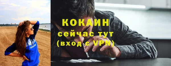 ГАЛЛЮЦИНОГЕННЫЕ ГРИБЫ Бородино