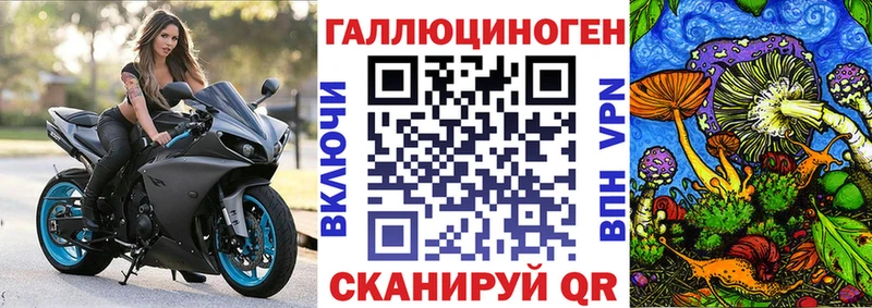 Купить где  Кохма  Псилоцибиновые грибы Psilocybe 